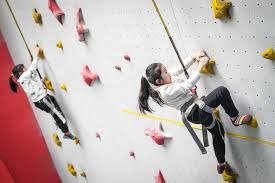 豪取5连胜！混团世界杯国乒8-0战胜韩国队