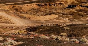 意杯前瞻：那不勒斯三连胜状态回升，卡利亚里20年不进8强