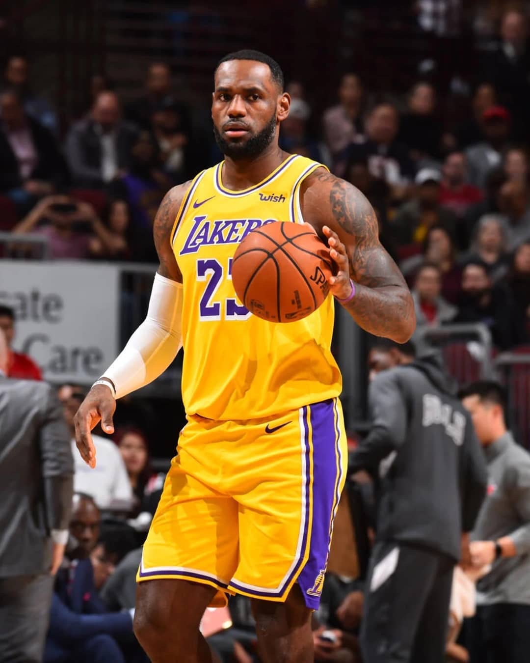 在文中均有 在文中均有